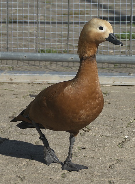 们在场上始