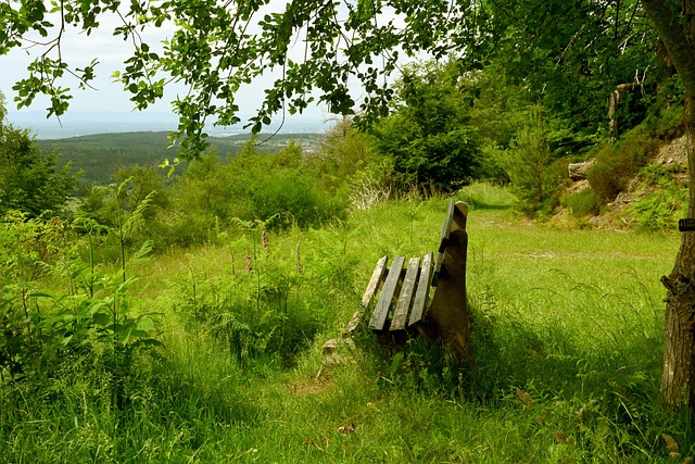 并在场下享 并在场下享