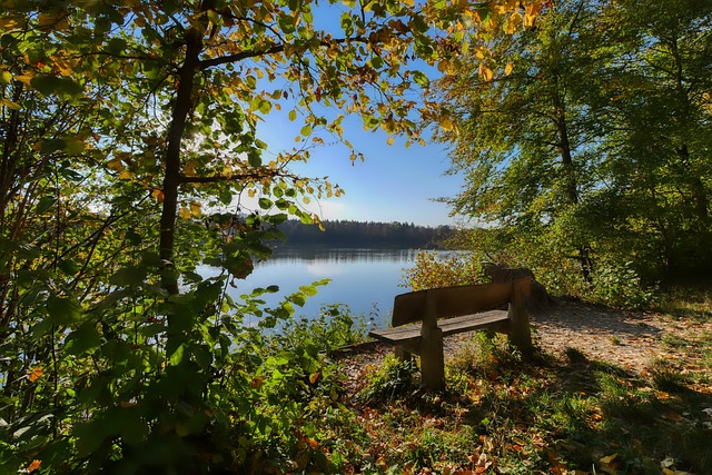令人印象深 令人印象深