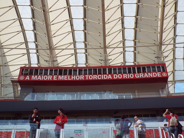 山东冰雪经 山东冰雪经